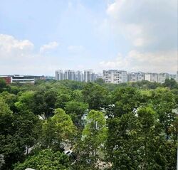 Blk 532 Pasir Ris Drive 1 (Pasir Ris), HDB Executive #566469421